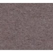 Castoro-cm30X30