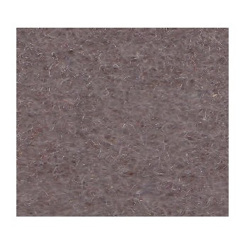 Castoro-cm30X30