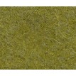 Pisello-cm30X30