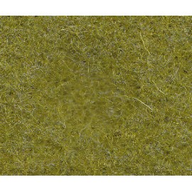 Pisello-cm30X30