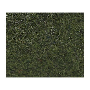 Edera-cm30X30